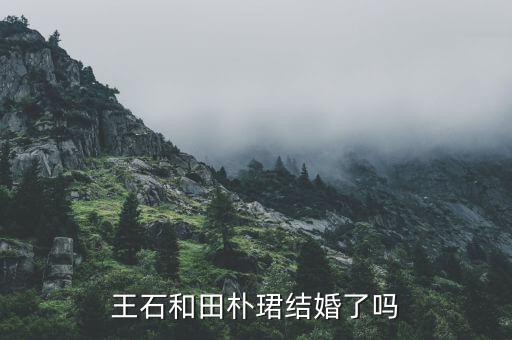田樸B和王石什么時候認識的，田樸珺是如何俘獲王石的我看她并不十分漂亮啊