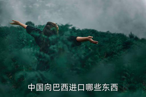 美國從巴西進口什么，中國向巴西進口哪些東西