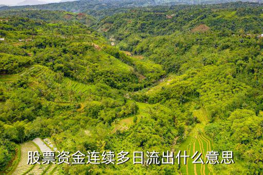 為什么一支股票連續(xù)幾月大單流出，股票資金連續(xù)多日流出什么意思