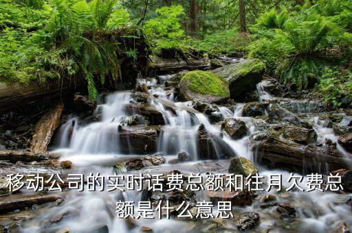 移動(dòng)賬單總額什么意思，移動(dòng)公司的帳單總額與實(shí)時(shí)話費(fèi)區(qū)別