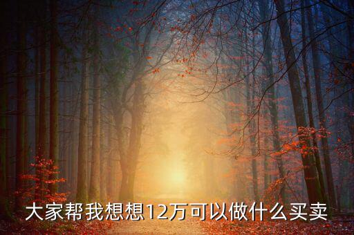 12萬(wàn)投資什么項(xiàng)目，投資十二萬(wàn)元能做什么呢