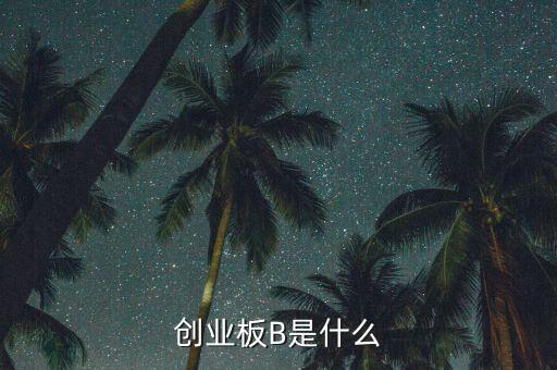創(chuàng)業(yè)板b杠桿是什么，創(chuàng)業(yè)板B是什么