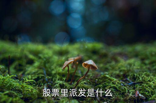 什么是股票派發(fā)，股票什么叫派發(fā)