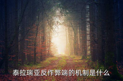 什么是反舞弊機(jī)制，google廣告聯(lián)盟反作弊系統(tǒng)原理嗎