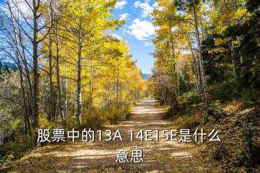 市盈率13a什么意思，財務(wù)報表中13A 14E 是什么意思