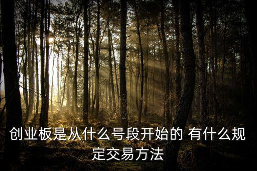 創(chuàng)業(yè)板什么開頭，創(chuàng)業(yè)板代碼什么數(shù)字開頭