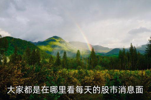 每天的股票信息看什么網(wǎng)站，大家都是在哪里看每天的股市消息面