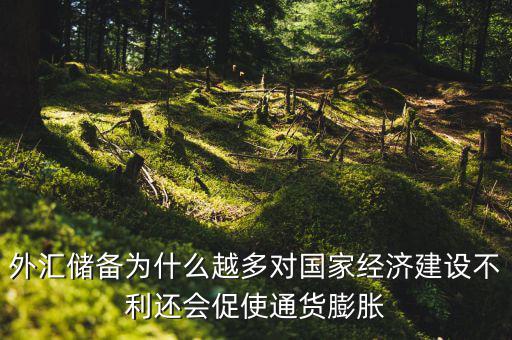 外匯儲(chǔ)備為什么越多對國家經(jīng)濟(jì)建設(shè)不利還會(huì)促使通貨膨脹