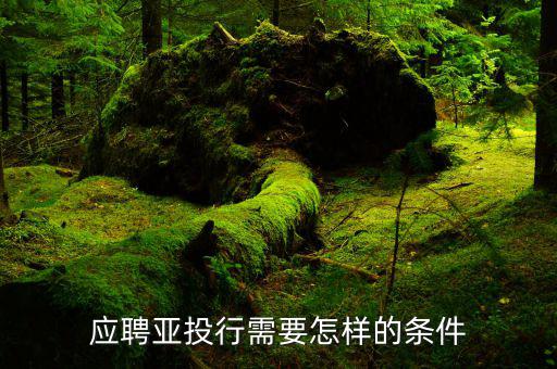 亞投行什么時間招聘人，韓國哪個學(xué)校招收高中留學(xué)生