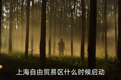 上海自貿(mào)區(qū)什么時(shí)候開放，上海自由貿(mào)易區(qū)什么時(shí)候啟動(dòng)