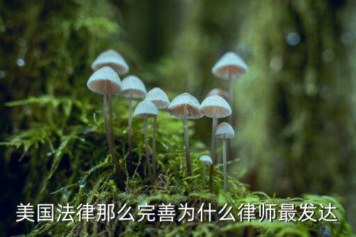 為什么美國賠償那么高，美國人為什么那么高