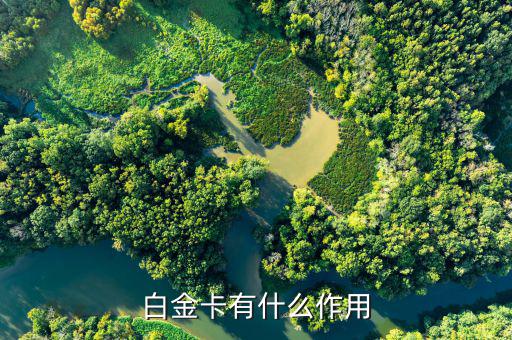 興業(yè)白金卡有什么好處，白金卡有什么作用