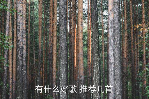 什么是終生董事，一個人懂事要多久