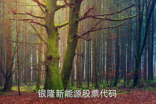 銀龍股份什么時(shí)候上市，銀隆新能源股票代碼
