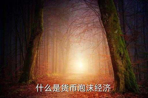 信貸泡沫是什么，什么是金融泡沫