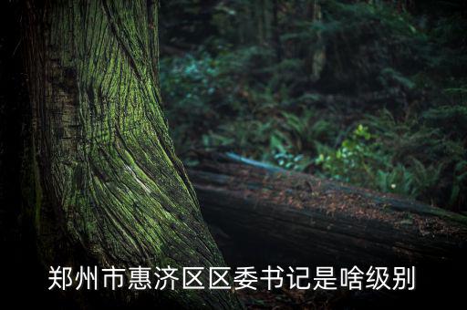 王洪章是什么級別，武警江西省總隊司令是什么級別