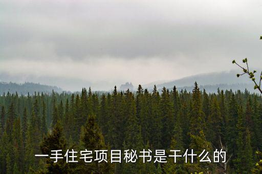 一手住宅項(xiàng)目秘書(shū)是干什么的