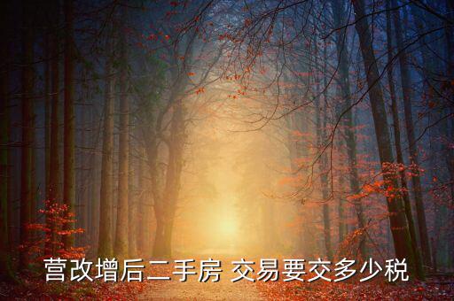二手房營(yíng)改增后買賣要上什么稅，營(yíng)改增后二手房 交易要交多少稅