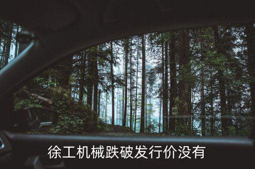 徐工機(jī)械什么時(shí)候復(fù)權(quán)，徐工機(jī)械何時(shí)復(fù)牌