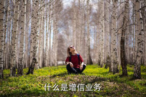 什么是增信服務(wù)，什么是增信業(yè)務(wù)