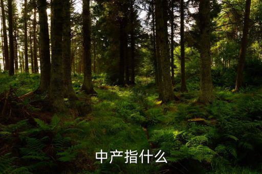 中產(chǎn)消費(fèi)什么，網(wǎng)易電商平臺(tái)帶給中產(chǎn)消費(fèi)者的核心價(jià)值是什么