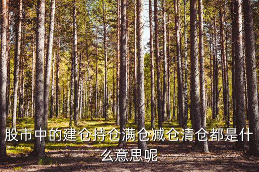 為什么減倉，減倉是什么意思什么是減倉
