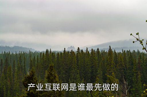產業(yè)互聯網是什么龍頭，產業(yè)互聯網是誰最先做的