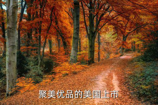 聚美優(yōu)品為什么要上市，根據(jù)聚美優(yōu)品案例談?wù)勈裁词莍po