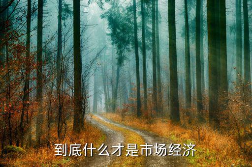 什么是市場經(jīng)濟，什么是市場經(jīng)濟