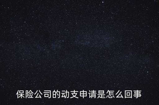 什么是動(dòng)支申請(qǐng)，怎么樣支申請(qǐng)
