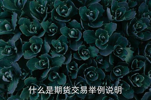 期權期貨是什么意思，期權與期貨是什么意思