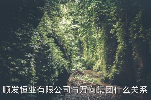 順發(fā)恒業(yè)是什么公司，順發(fā)恒業(yè)有限公司與萬(wàn)向集團(tuán)什么關(guān)系