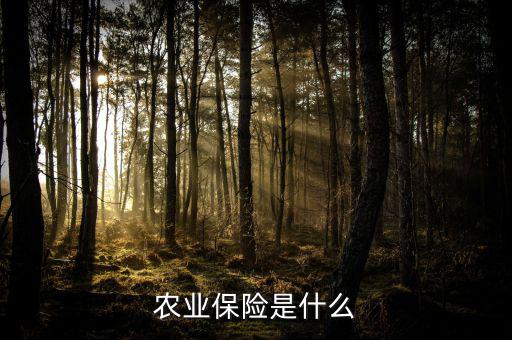 傳統(tǒng)農(nóng)業(yè)保險主要保什么風險，農(nóng)業(yè)保險是什么