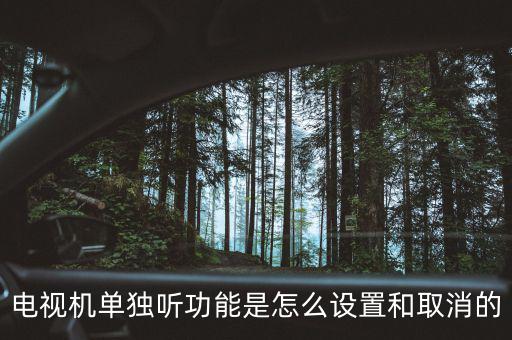 tcl電視單獨聽什么意思，電視機單獨聽功能是怎么設置和取消的