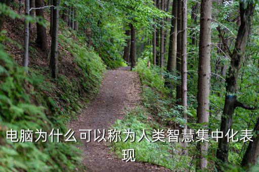 電腦為什么能夠做人工智能，電腦為什么可以稱為人類智慧集中化表現(xiàn)