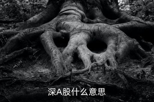 深市a股是什么，深A(yù)股什么意思