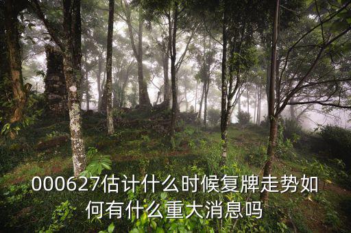 000627估計(jì)什么時(shí)候復(fù)牌走勢如何有什么重大消息嗎