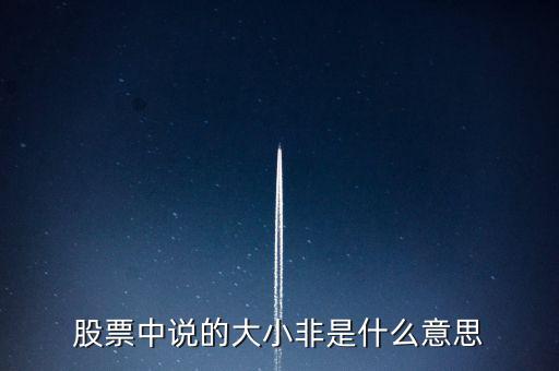 股市大小非是什么意思，股市中的大小非是指什么