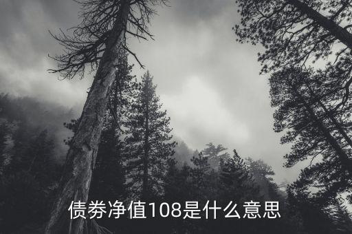 債券凈值是什么意思，債劵凈值108是什么意思