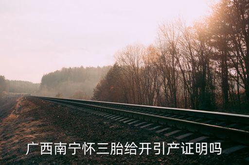 a廣西南寧生三胎有什么政策，2014年廣西人均收入2595元超生三胎罰款是多少錢