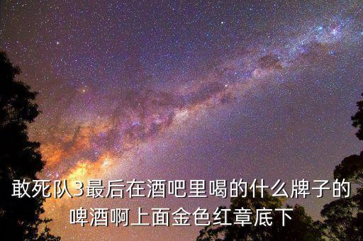 敢死隊3喝的什么啤酒，敢死隊3酒吧里吃的這是什么