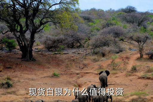 為什么投資白銀，我想問(wèn)下白銀是不是最好的投資