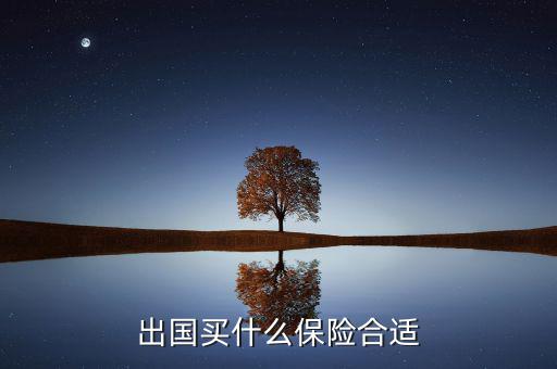 什么保險長期在國外有用，什么保險有去國外玩的保障啊