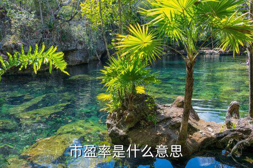 什么是市盈率，什么是市凈率和市盈率