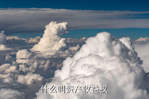 什么叫資產(chǎn)年收益權(quán)，什么叫資產(chǎn)收益權(quán)