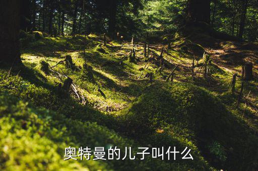 奧特佳老總兒子叫什么，奧特曼的兒子叫什么