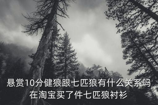 前海再保險(xiǎn)與七匹狼什么關(guān)系，懸賞10分健狼跟七匹狼有什么關(guān)系嗎在淘寶買(mǎi)了件七匹狼襯衫