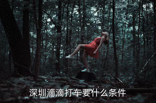 深圳交通滴滴有什么政策，申請(qǐng)深圳滴滴對(duì)司機(jī)有些什么要求嗎
