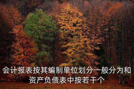 會計報表按其編制單位劃分一般分為和資產(chǎn)負(fù)債表中按若干個