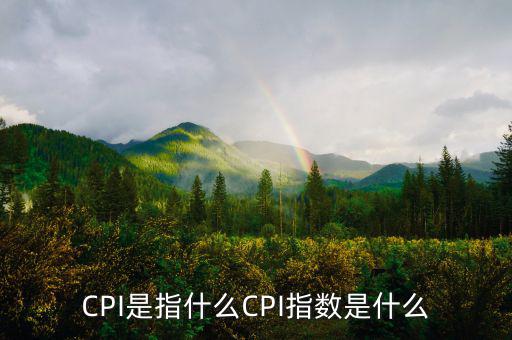 梅爾瓦指數(shù)是什么，MSCI 指數(shù)是什么